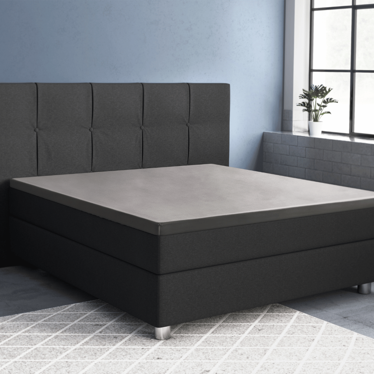 Ein modernes schwarzes Polsterbett mit getuftetem Kopfteil steht in einem Schlafzimmer mit blauen Wänden, das mit dem Primaviera Deluxe Topper Satin Deluxe Spannbettuch in Grau ausgestattet ist, neben einem großen Fenster und einer kleinen Topfpflanze.