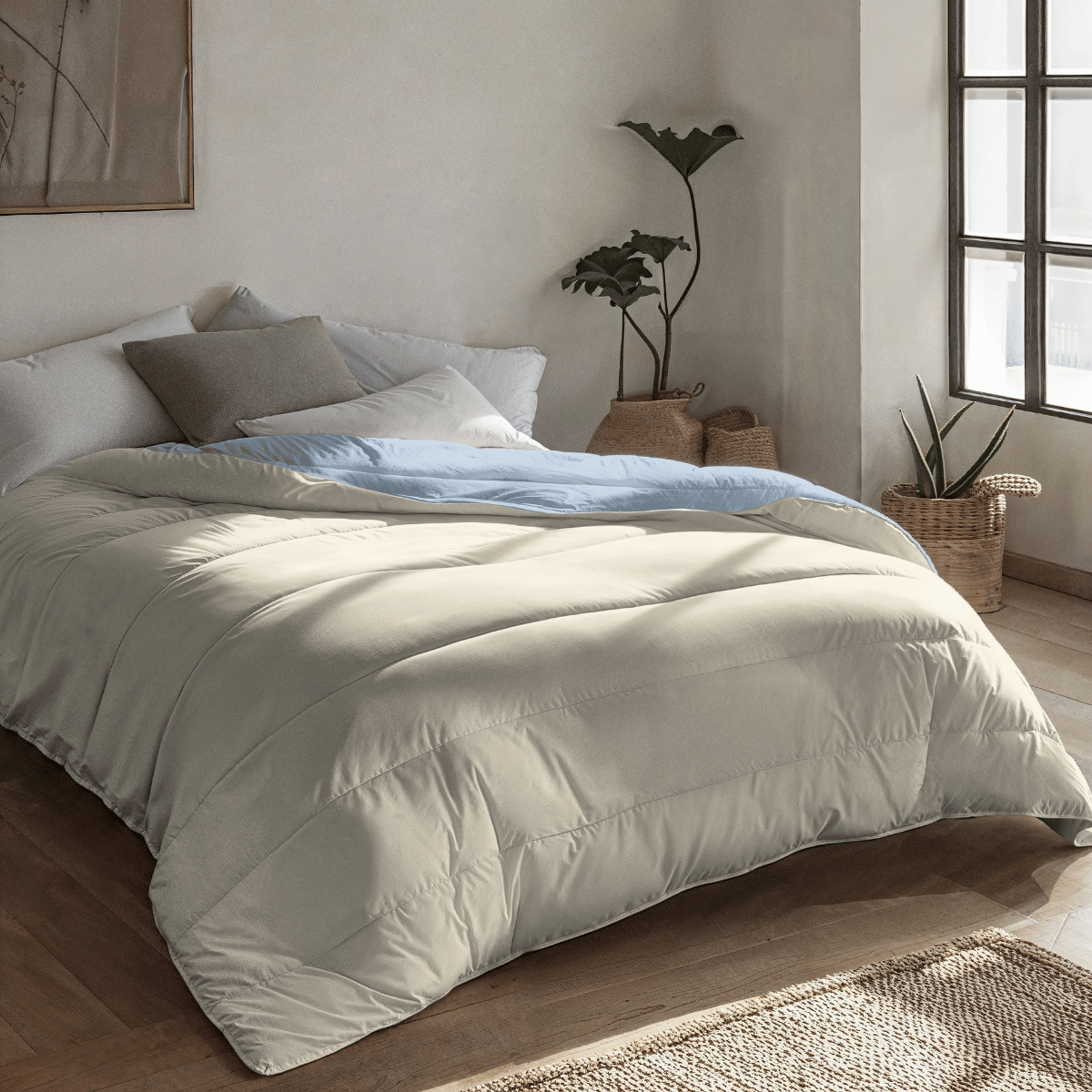 Stimmungsbild vom Zelesta Royalbed - Bluefog & Sand Beach