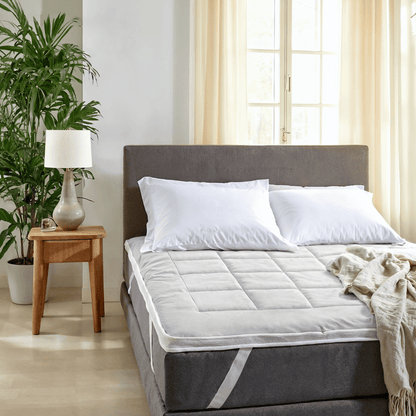 Ein ordentlich gemachtes Bett mit weißen Kissen und einem Zelesta-Topper mit Blue Cell Technology steht neben einem hölzernen Nachttisch mit einer Lampe und einer Pflanze in einem hellen, modernen Schlafzimmer mit hellen Vorhängen.