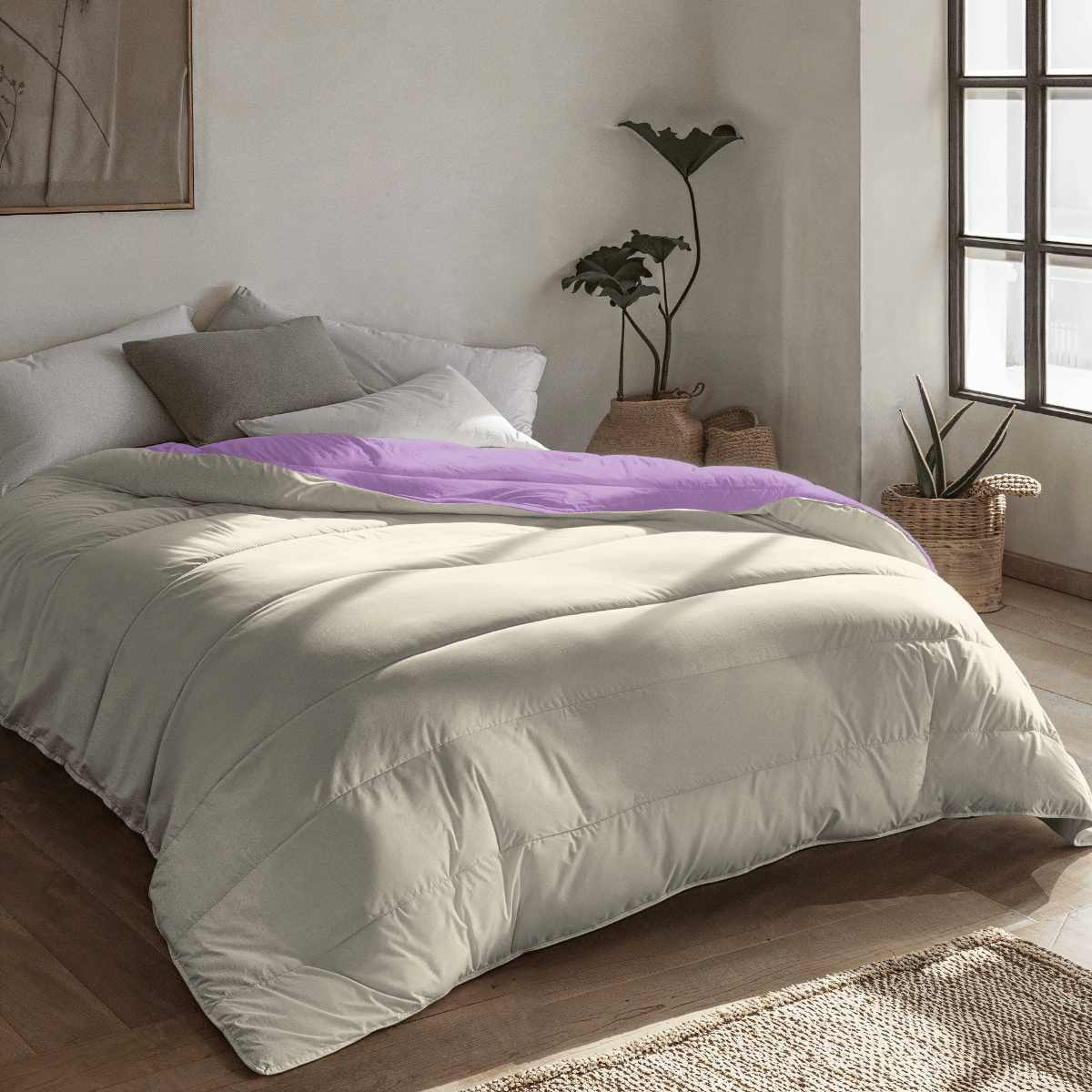 Zelesta Royalbed - Lila & Sand Beach