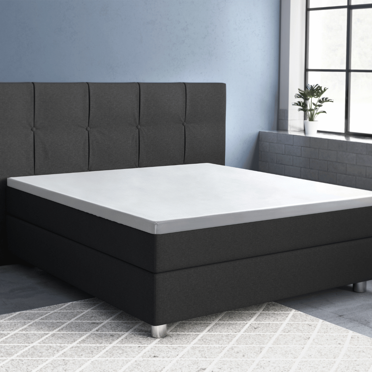 Ein modernes Schlafzimmer mit einem dunklen Polsterbett und einer knackig weißen Matratze ist mit einem Primaviera Deluxe Topper Satin Deluxe Spannbettuch in Weiss ausgestattet, neben einem Fenster mit einer Topfpflanze und einem geometrisch gemusterten Teppich auf dem Boden.