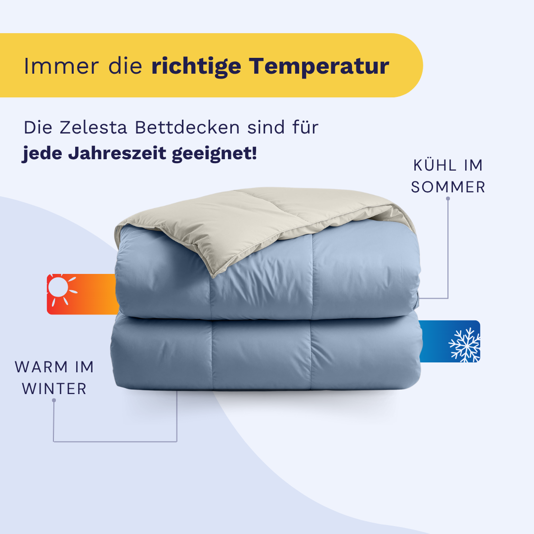 Die Zelesta Premiumbed Baumwolle - Dream Blue & Cream Bettdecke, gefaltet, um die cremefarbene Innenschicht zu zeigen, verfügt über eine Öko-Daunenfüllung für luxuriösen Schlaf - warm im Winter, kühl im Sommer und ideal für alle Jahreszeiten.