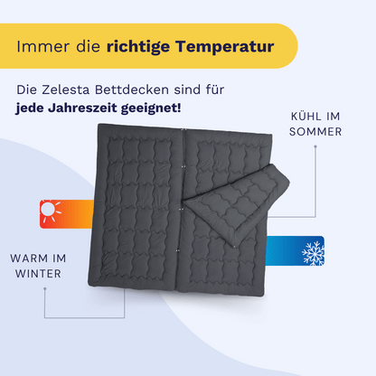 Zelesta Flexibed - Anthrazit