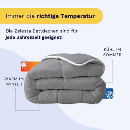 Zelesta Royalbed - Anthrazit