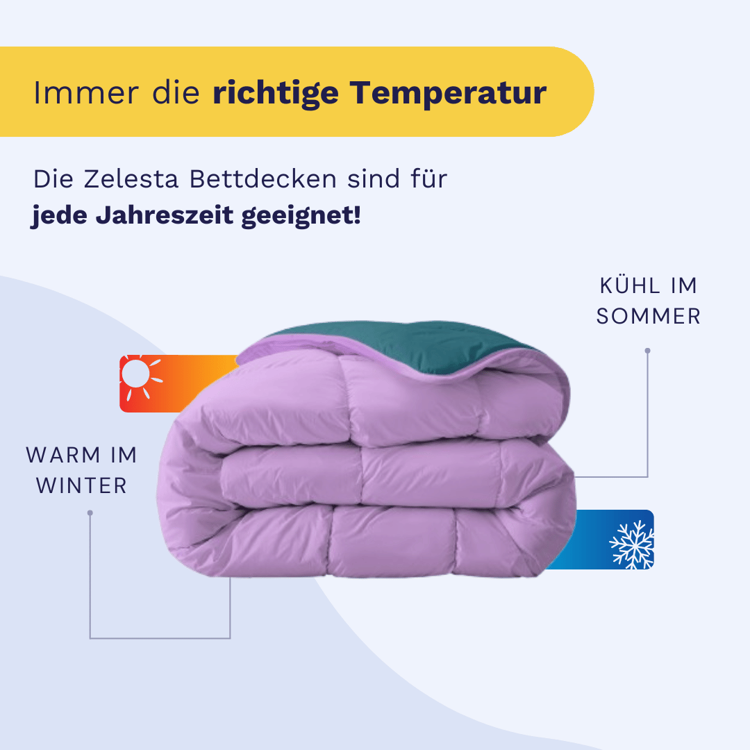 Zelesta Royalbed - Petrol & Lila