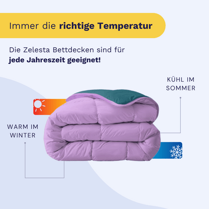 Zelesta Royalbed - Petrol & Lila