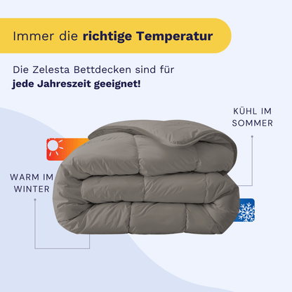 Zelesta Royalbed - Zartes Grau