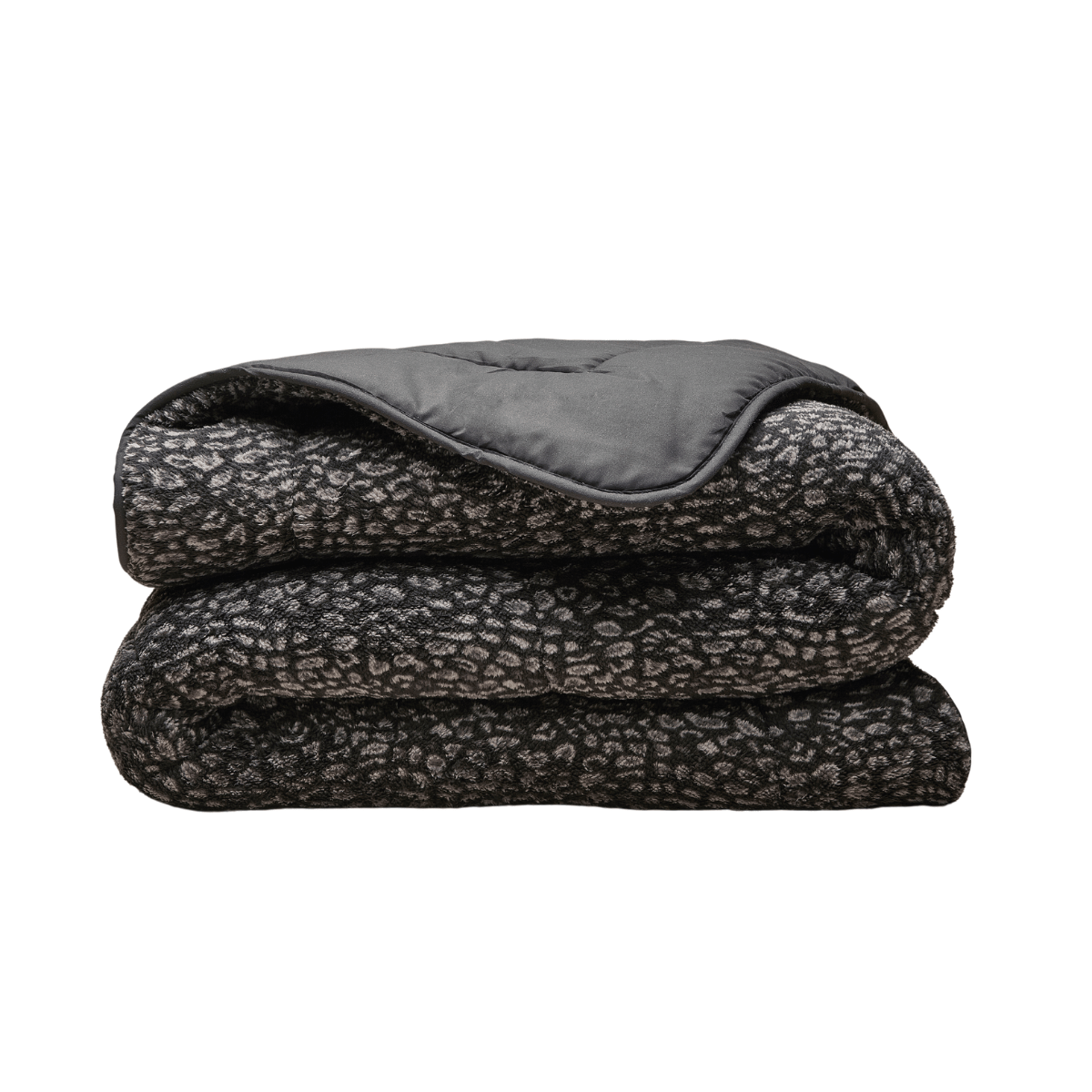 Packshot vom Zelesta Teddybed - Panther Anthrazit