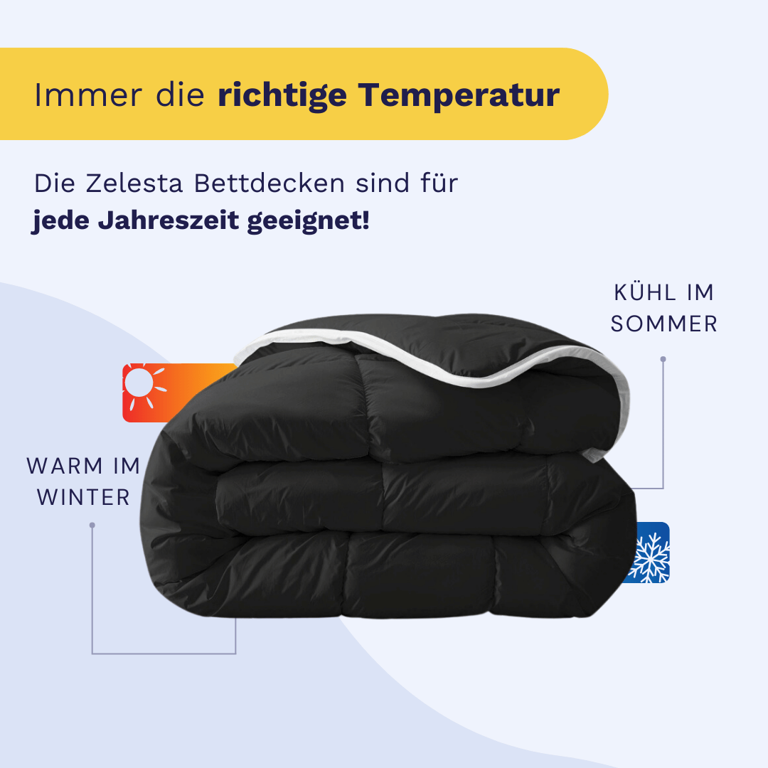 Zelesta Royalbed - Schwarz